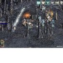 카오 Daum카페