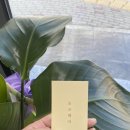 초코헤어&네일