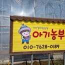 양감농장 | [화성/양감] 아이체험농장, 이마트 문센 주말특강, 귤...모래놀이까지 가득한 4계절체험농장 아기농부 후기