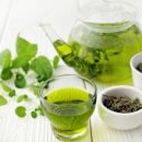 강아지야 이미지