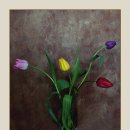 Graeme Allwright - Master Serie Vol. 2 - 16 Danse Moi Vers la Fin de l'Amour 이미지