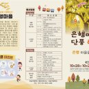 김동일농장 | 이번 주말 은행마을 축제 자세한 정보들