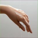 더 뷰티 독 이미지