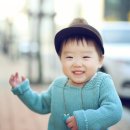 북유럽에안기다