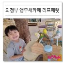 연지태권도장 | 의정부 앵무새카페 리프패럿 아이랑 가볼만한곳