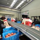 농산물 산지유통센터 | 무주군, 농산물 산지유통센터 시설개선 공모 선정