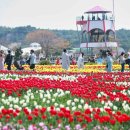 코리아파크 이미지