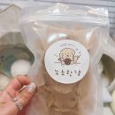 꼬소한댕 이미지