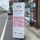 네일샵스물하루