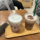 짱놀이터 | 명동고양이카페 고양이놀이터 명동점 고양이 52마리 후기