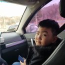 성운유치원 이미지