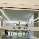 해든하우스 | 강아지 뒷다리 절뚝거림｜의정부 24시 해든동물의료센터 민락점 야간진료 후기