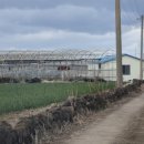 한림자동차공업사 이미지