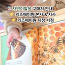 자연들 | 세이펜 호환 초등저학년추천도서 자연이알쏭 놀이학습 후기