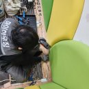 전주유화학교 이미지