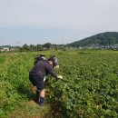 준법지원센터 이미지