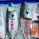 당산역 9번 출입구 | 노량진수산시장 대방어 포장 맛집