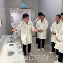 나노팹