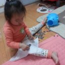 여우야늑대야 이미지