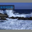 보라네민박 이미지