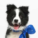 마린블루's 이미지