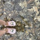 부연동스카이케빈 이미지