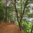 봉성산 공원 이미지