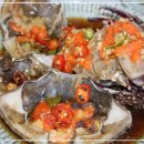 통나무아일랜드 이미지