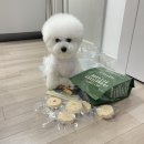 프랑테리 펫푸드 이미지