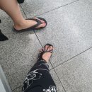 니발내발 이미지