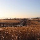 바다노을 - 남해군 남면로 1156-12 | 바다노을
