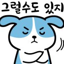 그루비펫 이미지