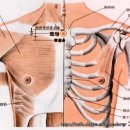 선기로1-6 이미지