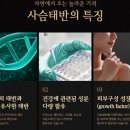 참좋은healthcare