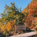 한아름농장 이미지