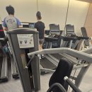 호이스트 하이로우, 파라마운트 숄더 오늘만 이미지