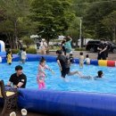 사북119안전센터 네이버블로그
