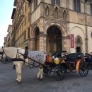 지니민박 이미지