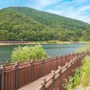 오남호수공원(음악분수)[오남-3] 이미지