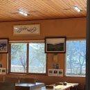 유정식당 이미지