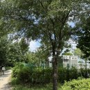 무한천 둔치공원 화장실(3) | 여의도한강공원 수영장ㅣ일요일 오전 방문 후기·혼잡도·준비물 + 푸드존 주문 링크