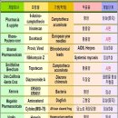 제2의 스티렌 도전 열기…한국산 신약 모범제시 이미지