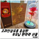 고려인삼유통 홍삼환 - 부모님 면역력 선물