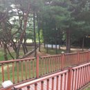 의림지솔밭가든 이미지