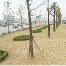 미림조경