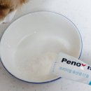 건강부터 | 고양이 음수량 걱정된다면? 장 건강부터 신장 관리까지 페노비스 고양이 신장 유산균 후기