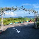 숙이네민박 이미지