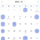 단소리네일