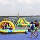 캠프통포레스트