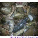 D00779 네이버블로그